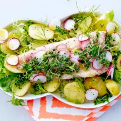 En vacker och nyttig middag med ugnsbakad fisk, färskpotatis, rädisor och krispig sallad.