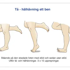 Illustrationer visar tå- och hälhävningar för att rehabilitera en stukad eller vrickad fot.