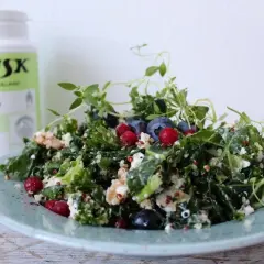 Grönkålssallad med blåbär, nötter och ost. Ett perfekt fodmap recept för en lätt och näringsrik måltid.