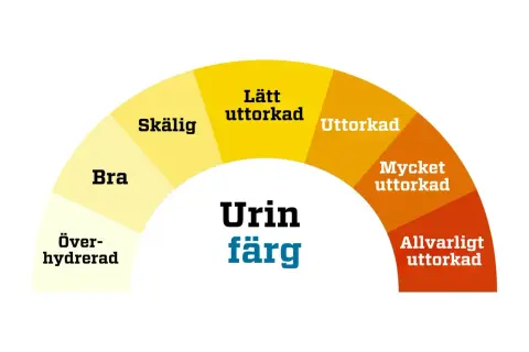 Färgskala för urin: överhydrerad, bra, skällig, lätt uttorkad, uttorkad, mycket uttorkad, allvarligt uttorkad. Stark lukt av ammoniak kan tyda på uttorkning.