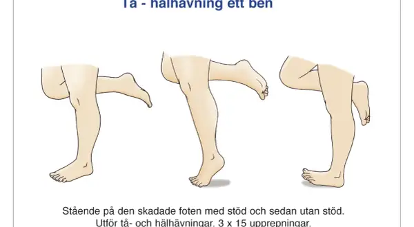 Illustrationer visar tå- och hälhävningar för att rehabilitera en stukad eller vrickad fot.