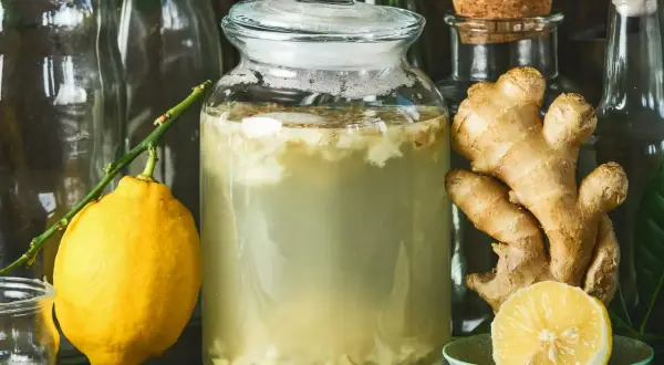 En stor glasburk med en bubblande ginger bug, omgiven av färsk ingefära och en citron.