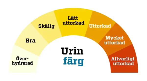 Färgskala för urin: överhydrerad, bra, skällig, lätt uttorkad, uttorkad, mycket uttorkad, allvarligt uttorkad. Stark lukt av ammoniak kan tyda på uttorkning.