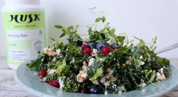 Grönkålssallad med blåbär, nötter och ost. Ett perfekt fodmap recept för en lätt och näringsrik måltid.