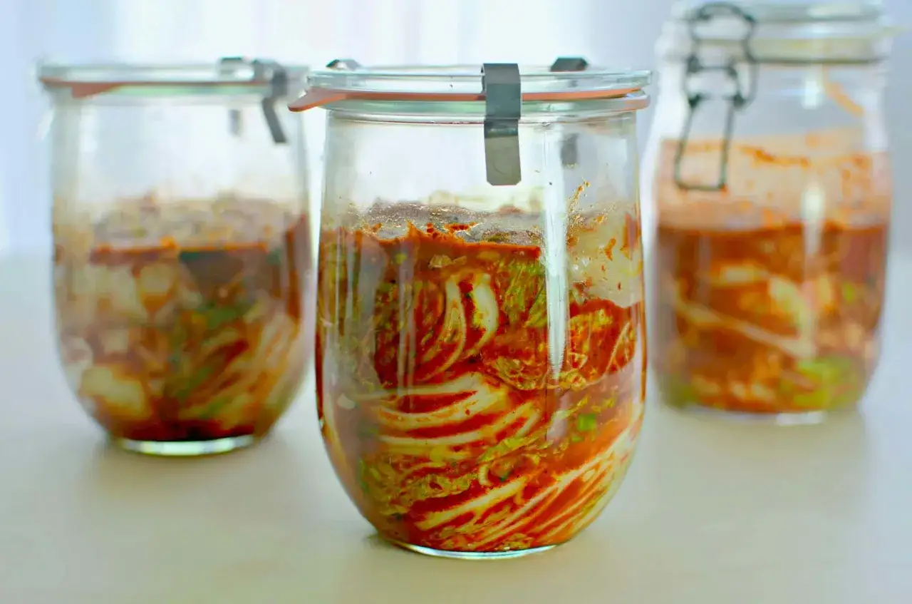 Tre glasburkar med fermenterad k&aring;l, som p&aring;minner om kimchi. En burk med en aktiv ginger bug skulle kunna se likadan ut.