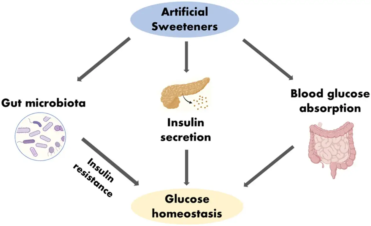 Diagram visar hur s&ouml;tningsmedel p&aring;verkar tarmfloran, insulinuts&ouml;ndring och glukosabsorption, vilket kan leda till insulinresistens och p&aring;verka diabetes.