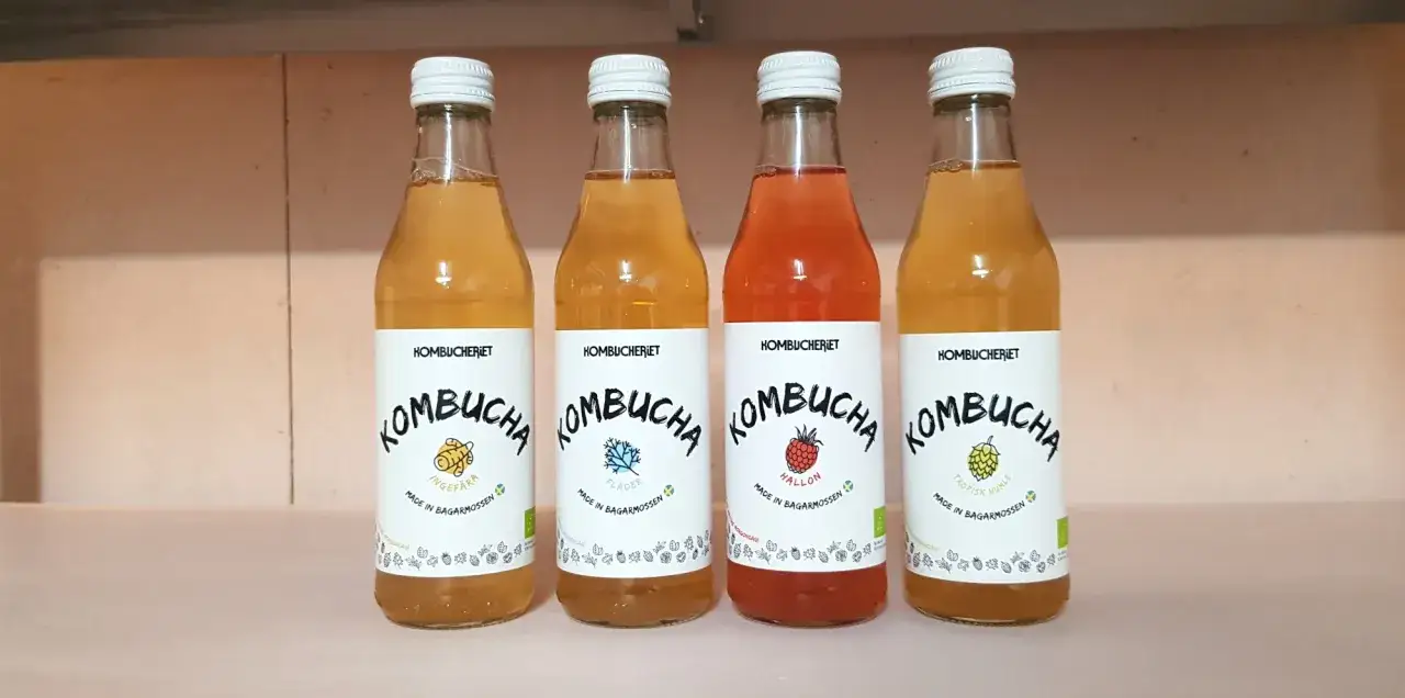 Fyra flaskor kombucha med olika smaker: ingefära, fläder, hallon och tropisk humle. En varning för kombucha kan vara att den kan vara syrlig.