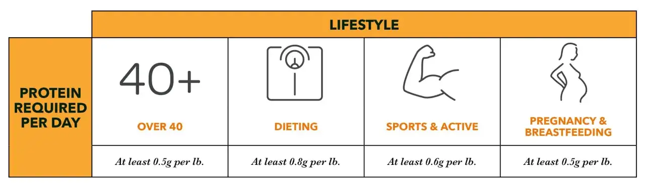 Tabell visar dagligt proteinbehov baserat p&aring; livsstil: &ouml;ver 40 &aring;r, diet, sport, graviditet/amning. Protein per kg varierar.