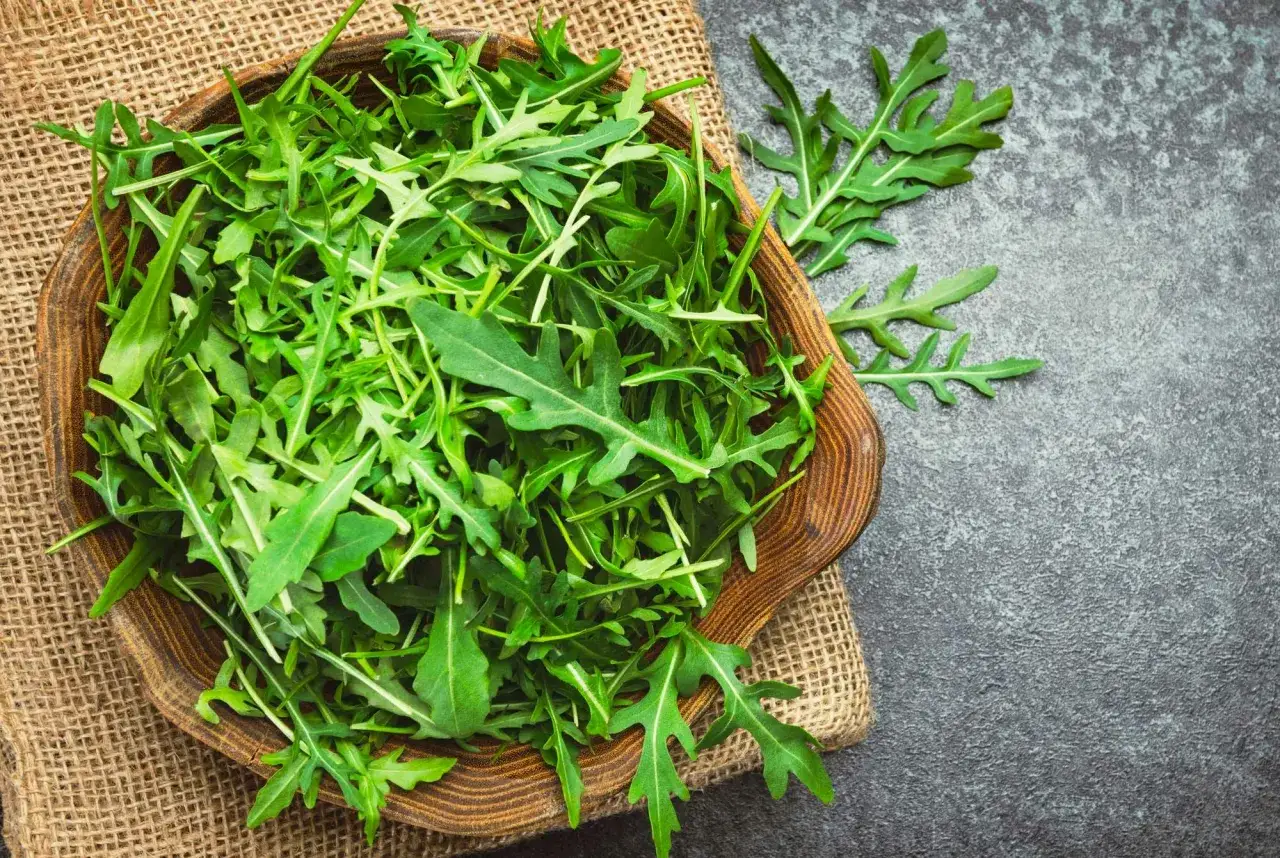 En sk&aring;l med f&auml;rsk ruccola, som visar hur nyttigt det &auml;r. Bladen &auml;r gr&ouml;na och fr&auml;scha, perfekta f&ouml;r en h&auml;lsosam sallad.