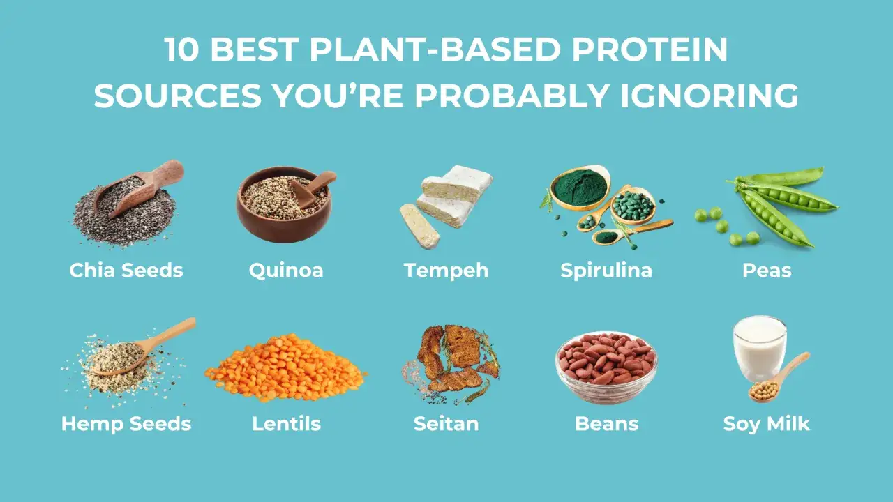 10 b&auml;sta k&auml;llor till vegetariskt protein: chiafr&ouml;n, quinoa, tempeh, spirulina, &auml;rtor, hampfr&ouml;n, linser, seitan, b&ouml;nor och sojamj&ouml;lk.