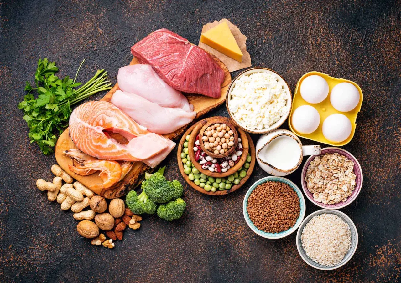 En samling av proteinrika livsmedel som k&ouml;tt, fisk, &auml;gg, n&ouml;tter, b&ouml;nor och mejeriprodukter, perfekt f&ouml;r att n&aring; ditt m&aring;l p&aring; 100g protein.
