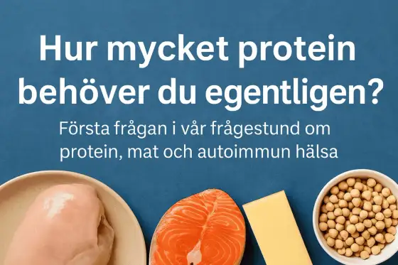 Protein - Så mycket behöver du (och varför!)